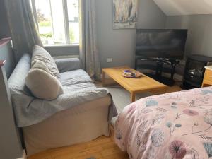 ein Wohnzimmer mit einem Sofa, einem Bett und einem Tisch in der Unterkunft Kilkenny rental The Folly Lodge minutes from city centre R95RYC8 in Kilkenny
