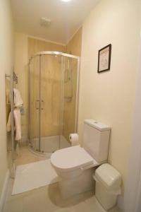 La salle de bains est pourvue d'une douche et de toilettes blanches. dans l'établissement Newly refurbished village flat, à Cullybackey