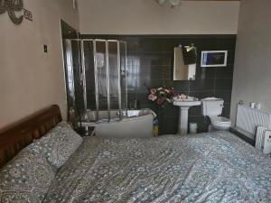 1 dormitorio con cama, bañera y lavamanos en Baron Park House, en Clonmel