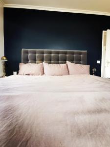 1 cama grande con almohadas rosas y pared azul en Le Versailles suite en Versalles