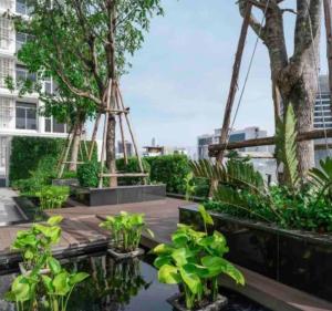 曼谷的住宿－2 Bedrooms, 300 metres BTS Ekkamai,Sukhumvit，一座种植了树木和植物的花园