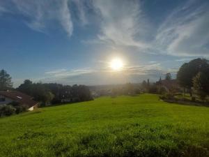 ein großes grünes Feld mit der Sonne am Himmel in der Unterkunft Immenstadt im Allgau Holiday Home 2 in Zaumberg