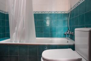 Cozy Apartment in La Laguna في لا لاغونا: حمام مع مرحاض وحوض استحمام