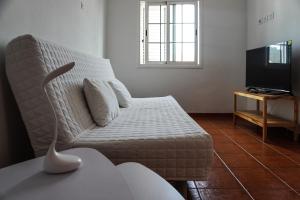 Cozy Apartment in La Laguna في لا لاغونا: غرفة معيشة بها أريكة وتلفزيون