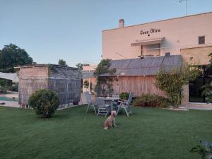 Zdjęcie z galerii obiektu Casa Oliva 52 w Sewilli +35 zdjęć