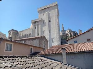 a large castle with a bunch of buildings at Loft vue Palais des Papes in Avignon