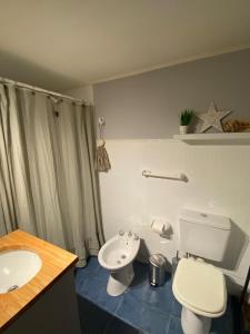 ein Badezimmer mit Toilette und Waschbecken in der Unterkunft Patagonia Ali in San Carlos de Bariloche + 8 Fotos