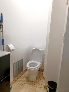 La salle de bains est pourvue de toilettes avec un couvercle. dans l'établissement Bron centre appartement meublé avec jacuzzi, à Bron