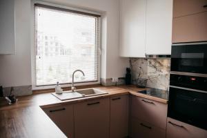 Kuchyň nebo kuchyňský kout v ubytování Lake&Forest Apartments