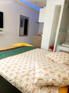 Postel nebo postele na pokoji v ubytování Bron centre appartement meublé avec jacuzzi