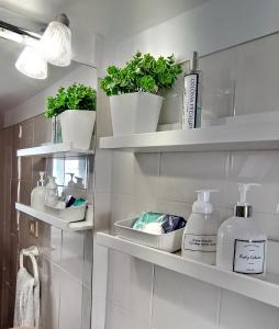 ein Badezimmer mit weißen Regalen mit Pflanzen darauf in der Unterkunft CENTER Santa Cruz, Alojamiento céntrico con gran terraza, cocina , salón y baños, todo privado in Santa Cruz de Tenerife