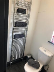 a bathroom with a toilet and a rack of towels at Raby Apartment in Darlington