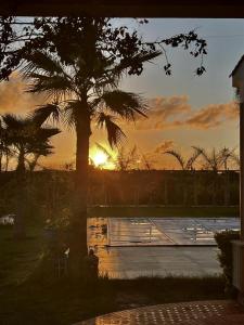 um pôr-do-sol com uma palmeira e uma piscina em Dar Ghita en campagne em Ben Slimane