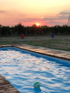 a pool with a ball in the water at sunset at Agri Camping italiano - Eucalyptus in Shënkoll