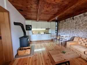 a living room with a couch and a stove at Montenegro Dream House in Žabljak