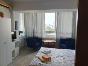 Χώρος καθιστικού στο Calea Victoriei Studio