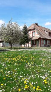 Zahrada ubytování Les Loges de l'Ecomusée D'Alsace