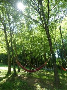 a hammock in the trees in a park at Villa Edemi in Tskaltubo