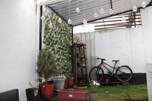 ein Fahrrad, das unter einer Garage mit Pflanzen geparkt ist in der Unterkunft Casa en Cuenca in Cuenca