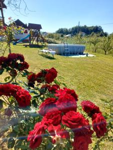 un grupo de rosas rojas con un patio de recreo en el fondo en Vikendica za odmor, en Banja Luka