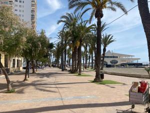 a street with palm trees and a shopping cart on a sidewalk at Mar Menor Elisa Apartment in Santiago de la Ribera