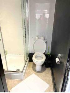 a bathroom with a toilet and a glass shower at Studio Apartment in London in London