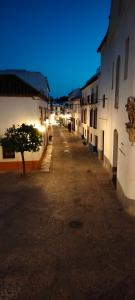 an empty street at night with a tree in the middle at Apartamento Con Encanto San Basilio in Córdoba