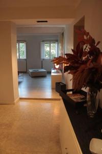 una sala de estar con una maceta en un mostrador en Acacia Firenze - Magnolia, en Florencia
