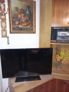 a flat screen tv sitting on top of a wooden cabinet at Apartment in the city of Pilsen in Božkov