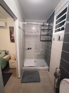 ein Bad mit einer Dusche und einer Glastür in der Unterkunft Appartement Clos du bois in Fort-de-France
