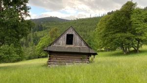 une ancienne cabine assise dans un champ d'herbe dans l'établissement Dom Wypoczynkowy Pod Polanką, à Korbielów