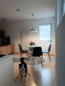 Afbeelding uit fotogalerij van Quiet, modern flat with own terrace in Hechingen