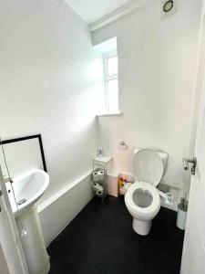 a bathroom with a white toilet and a sink at Spacious Studio flat in Central London in London