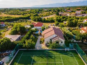 Príroda v okolí vily