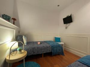 - une chambre avec un lit et une télévision murale dans l'établissement Private Room Gothic Quarter, à Barcelone