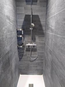 a bathroom with a shower and a toilet at Villa de la Tour in Bellegarde