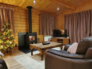 a living room with a christmas tree and a fireplace at Fern Lodge in Louth