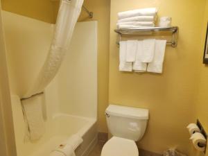 a bathroom with a toilet and a tub and towels at Comfort Inn at the Park Hershey in Hershey