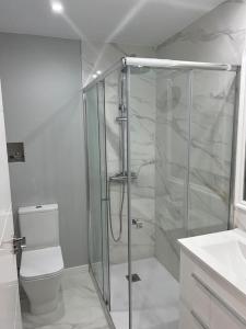 y baño con ducha y aseo. en Precioso y céntrico apartamento, en Zaragoza