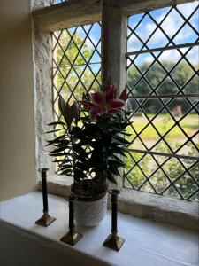 une fleur dans un vase assis sur un rebord de fenêtre dans l'établissement Moresby Hall Country House Hotel, à Whitehaven