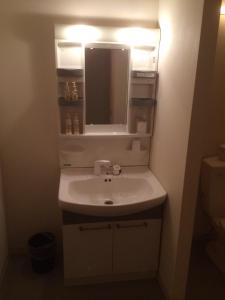 a bathroom with a sink and a mirror at Tennoji Lagoon Hotel in Osaka