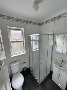 a bathroom with a toilet and a shower and a sink at WIllesden Lodge Guest House in London