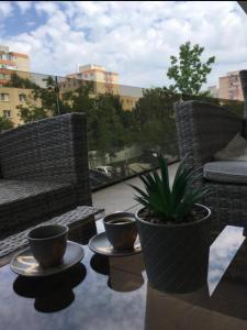 a patio with two chairs and a potted plant at Plaza Residence in Braşov