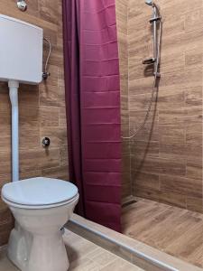 a bathroom with a toilet and a shower at Aurora Apartment in Kikinda