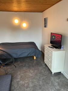 Schlafzimmer mit einem Bett und einem Schreibtisch mit einem TV in der Unterkunft Hyggeligt lille anneks tæt på Ribe in Ribe