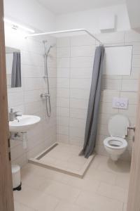 a bathroom with a shower and a toilet and a sink at K111 Klapka Apartment in Budapest +14 photos