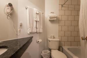 een badkamer met een toilet, een wastafel en een bad bij Hotel le Roberval in Montreal