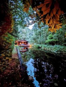 una cabaña en medio de un río con una casa en Prachtige chalet in het bos met sauna! en Lanaken