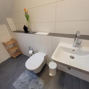 ein Badezimmer mit einem weißen WC und einem Waschbecken in der Unterkunft Appartement im Schwarzwaldhaus in Hüfingen