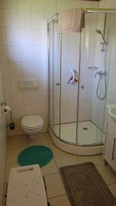 a bathroom with a shower and a toilet and a sink at Ferienhaus Bliev-Hee Nr 2 in Klink